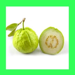 Guava