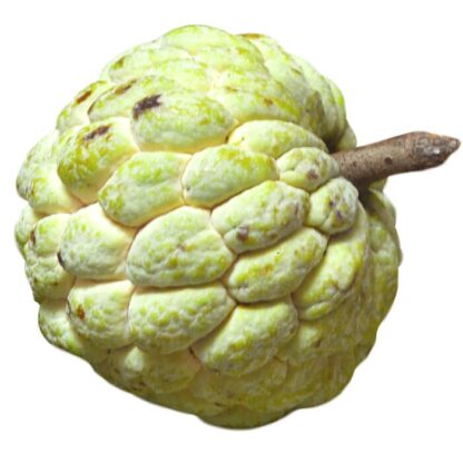 custard-apple