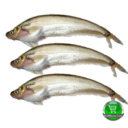 Pabda fish 500 gm