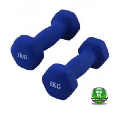 4kg Navy Blue Dumbbell