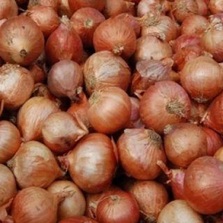 Deshi Piyaj (Onion)