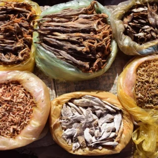 DRIED FISH