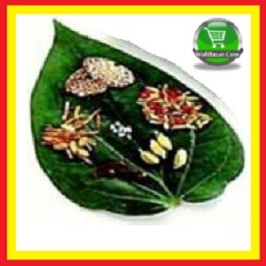 PAN SHUPARY