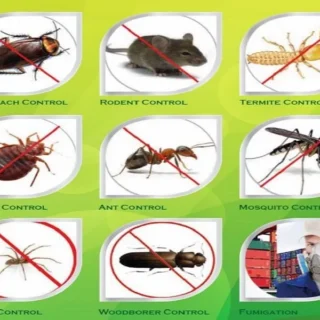 PEST CONTROL