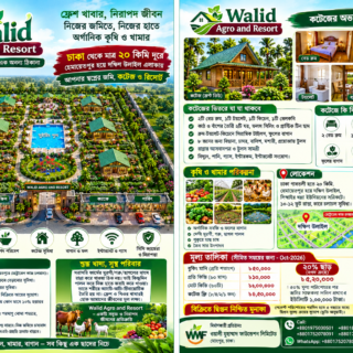 Walid Agro Resort Brochure
